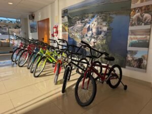 Entrega bicicletas Día del Niño 2026 (1)